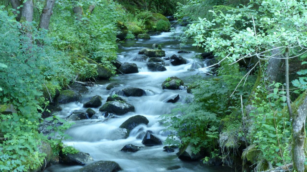 Le Gite Du Velay Bains Bagian luar foto